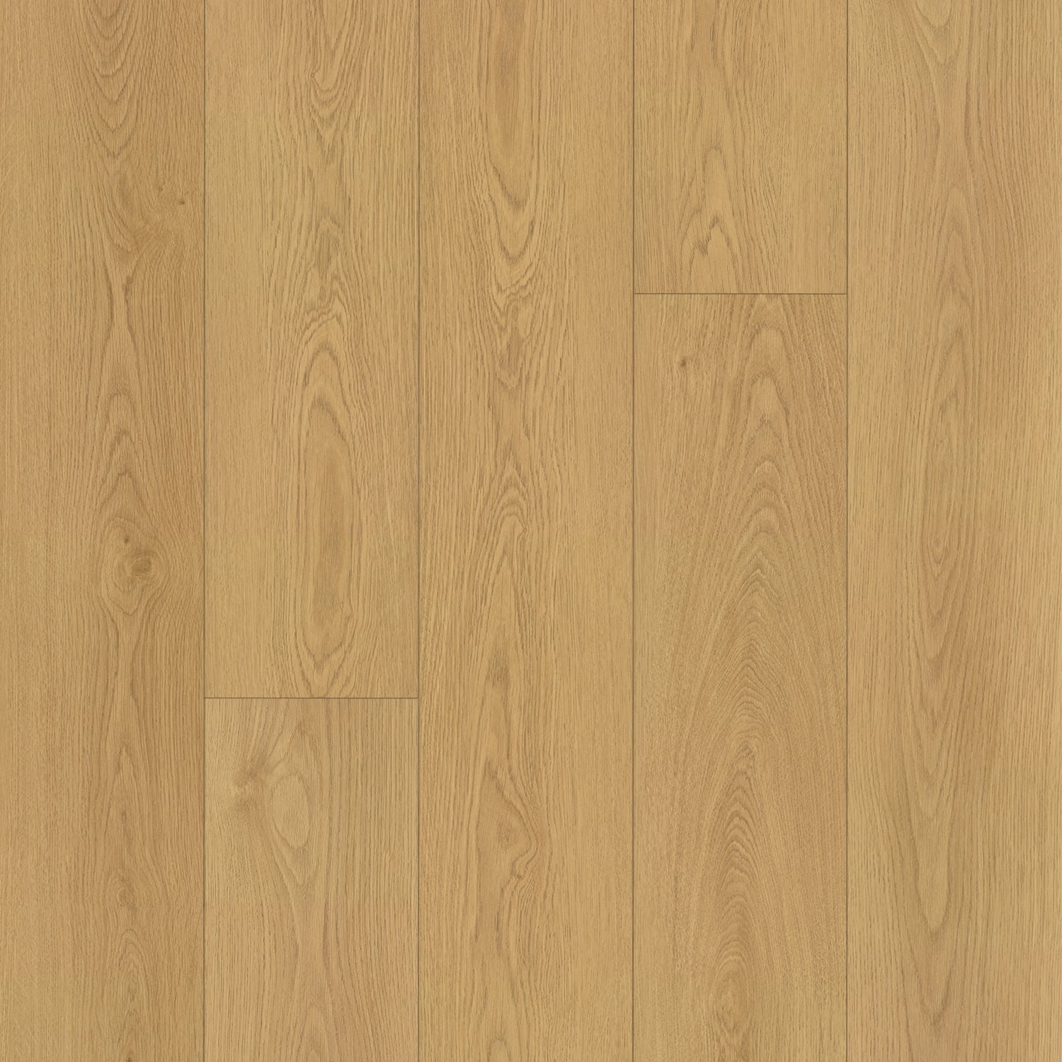 Arbor Laminate Flooring