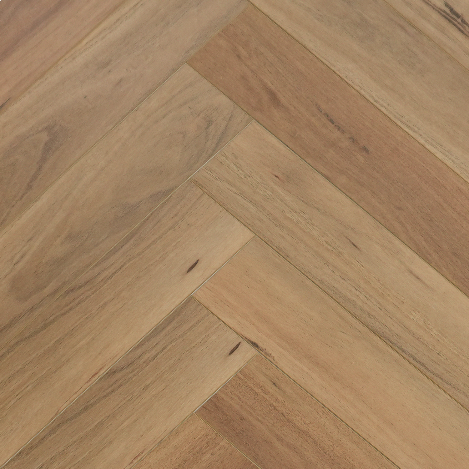 Coastal Blackbutt herringbone hybrid planks. High-traffic waterproof flooring with a modern Australian timber aesthetic.