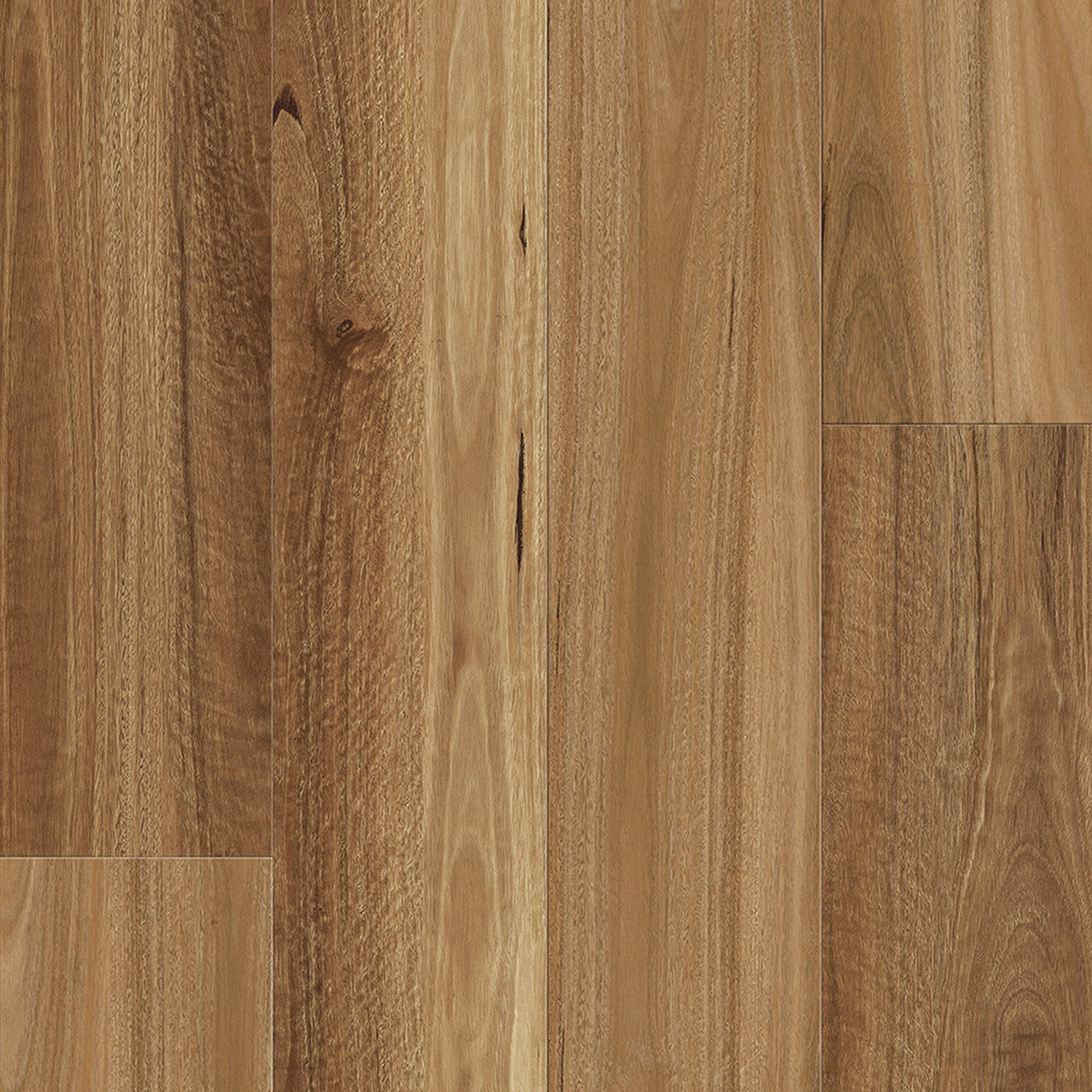 Natural Spotted Gum Hybrid Flooring