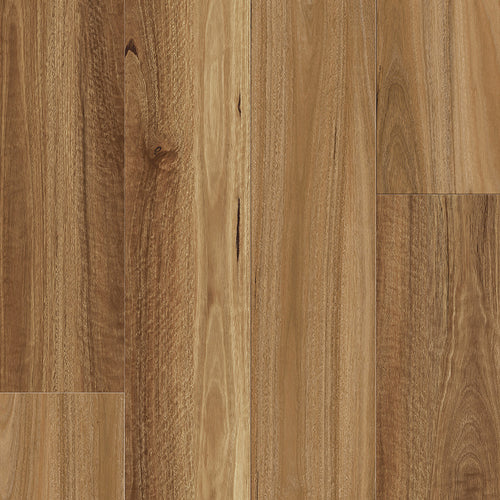 Natural Spotted Gum Hybrid Flooring