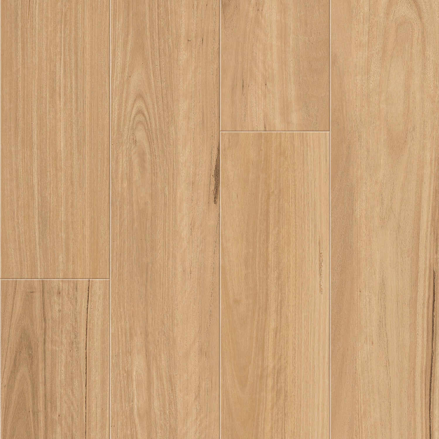 Southern Blackbutt Hybrid Flooring