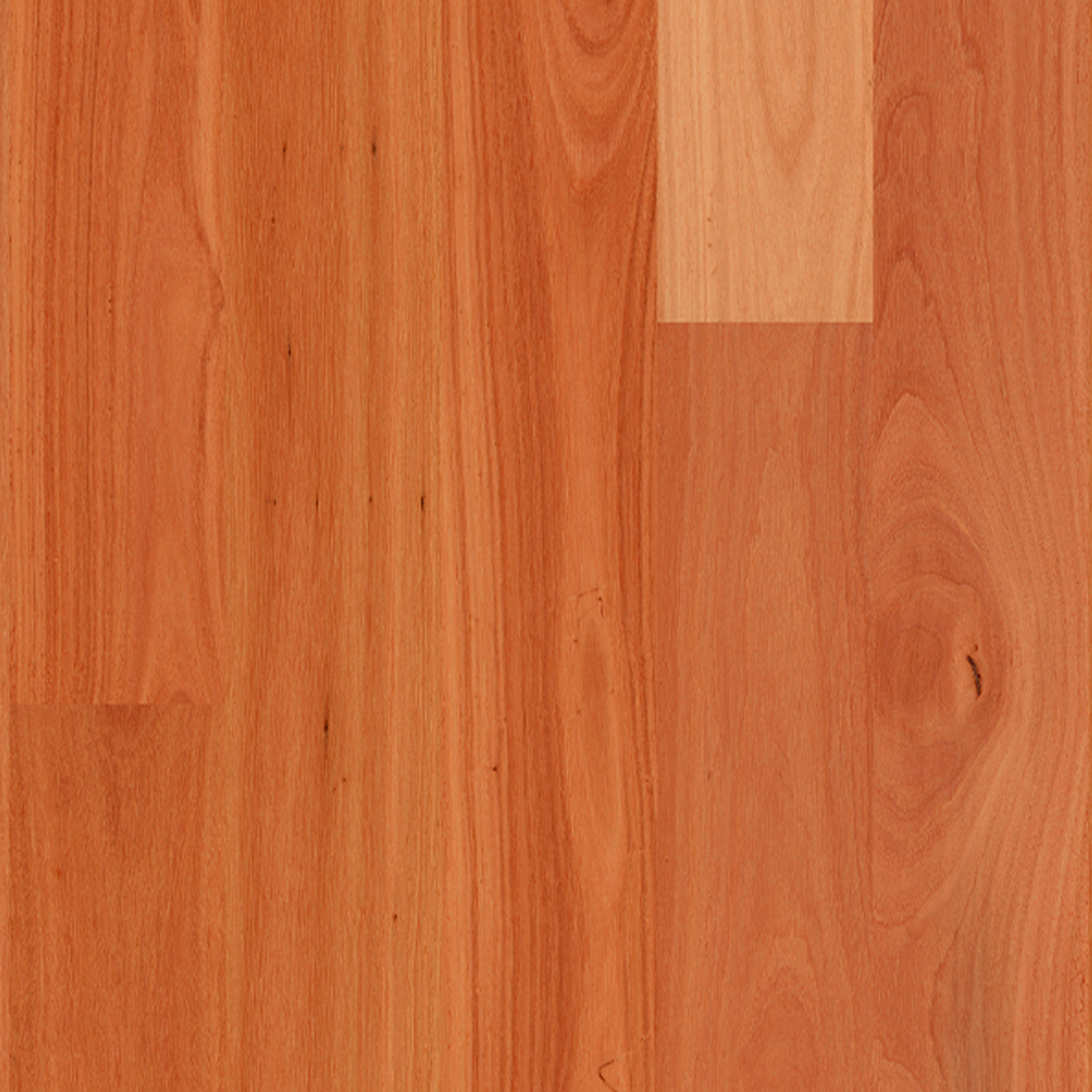 Sydney Blue Gum Timber Flooring Smooth Matte