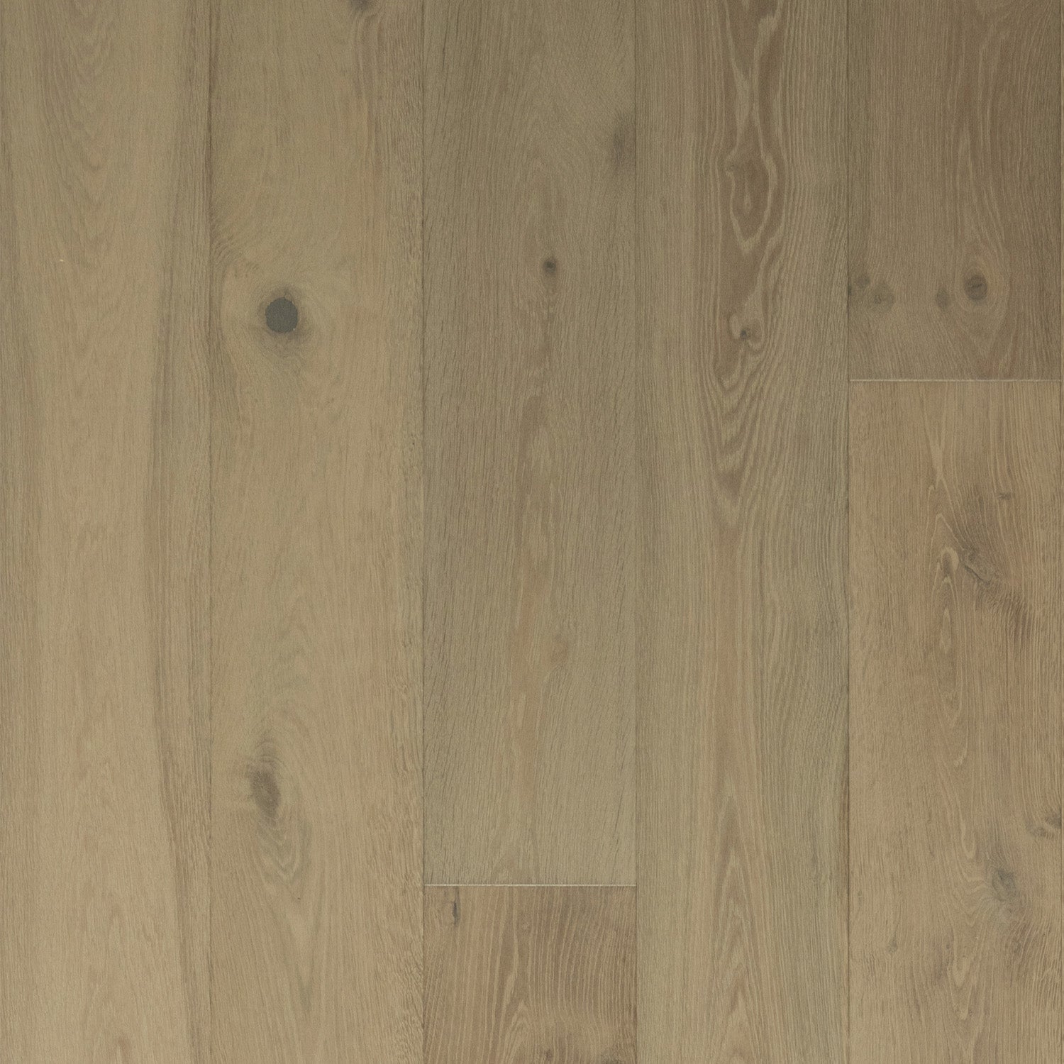 Venetian Grey