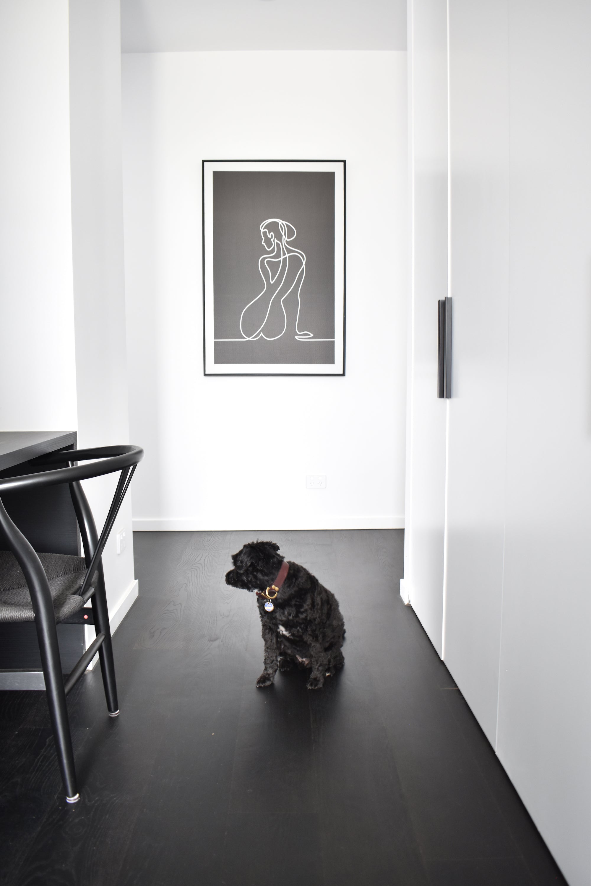 Pets & Timber flooring – Our Top Tips