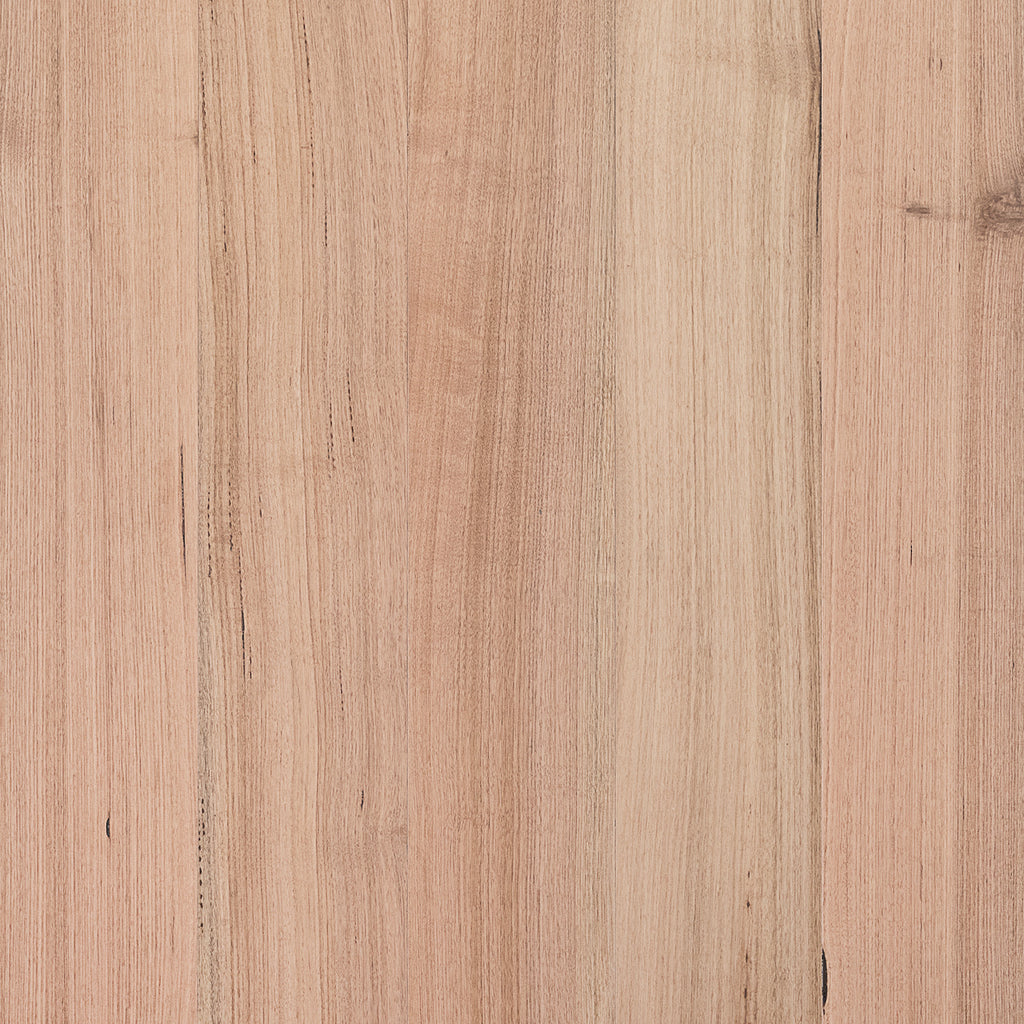Tasmanian Oak Smooth Matte