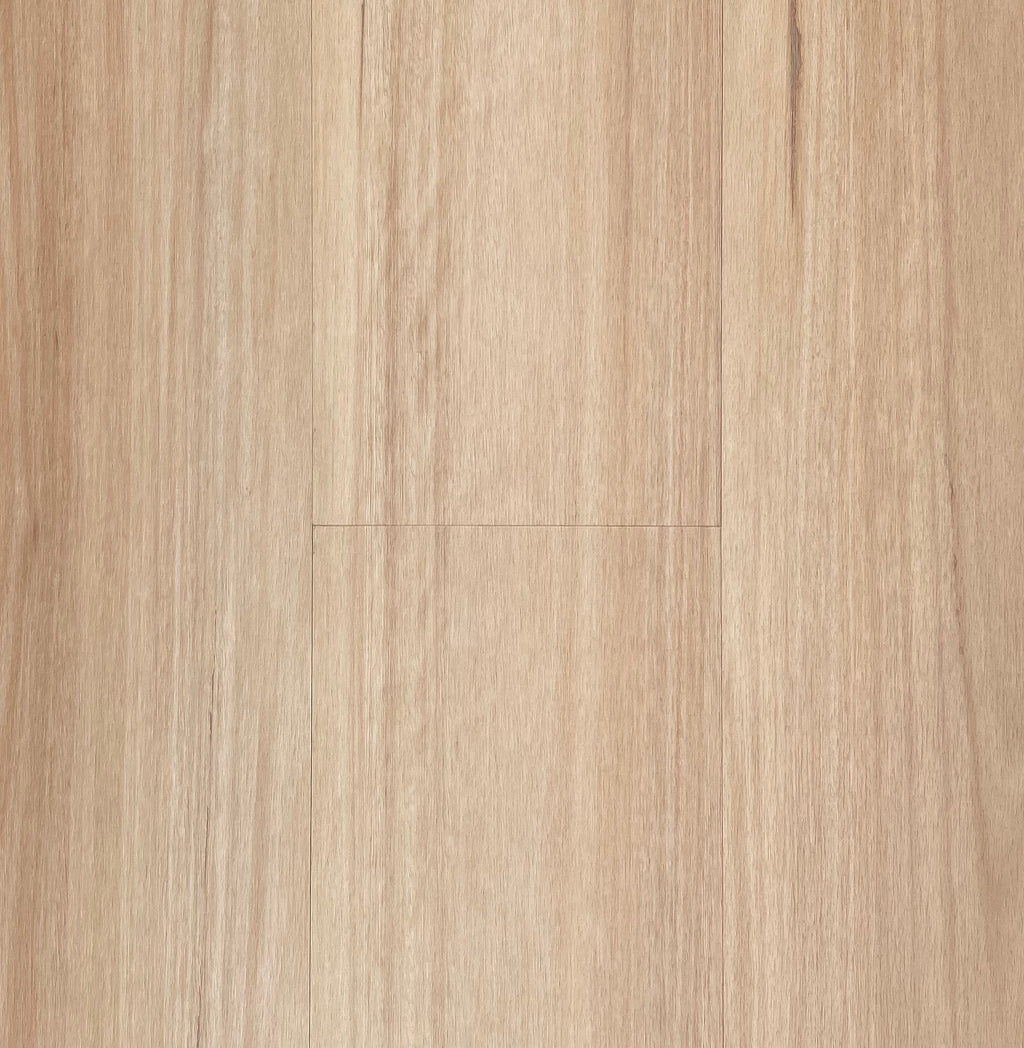 Central Blackbutt
