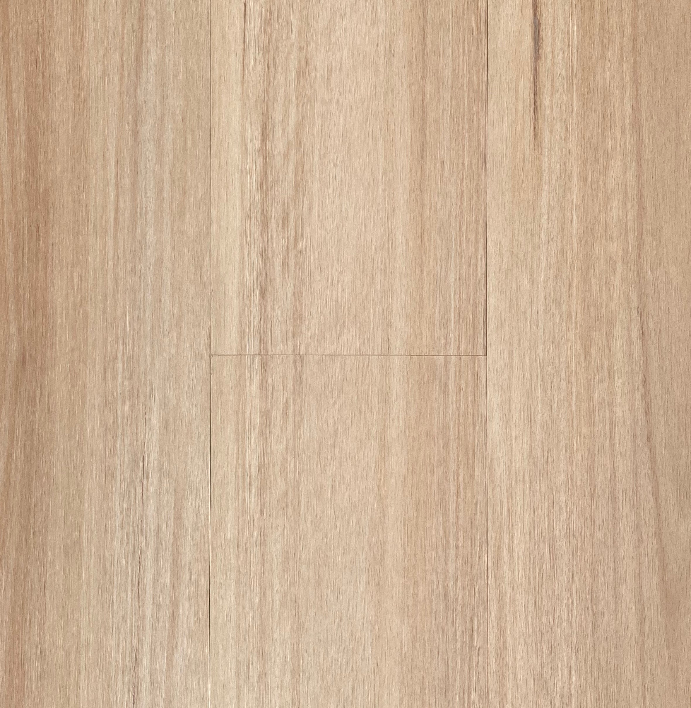 Central Blackbutt