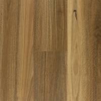 Native Spotted Gum