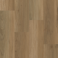 Alpine Blackbutt
