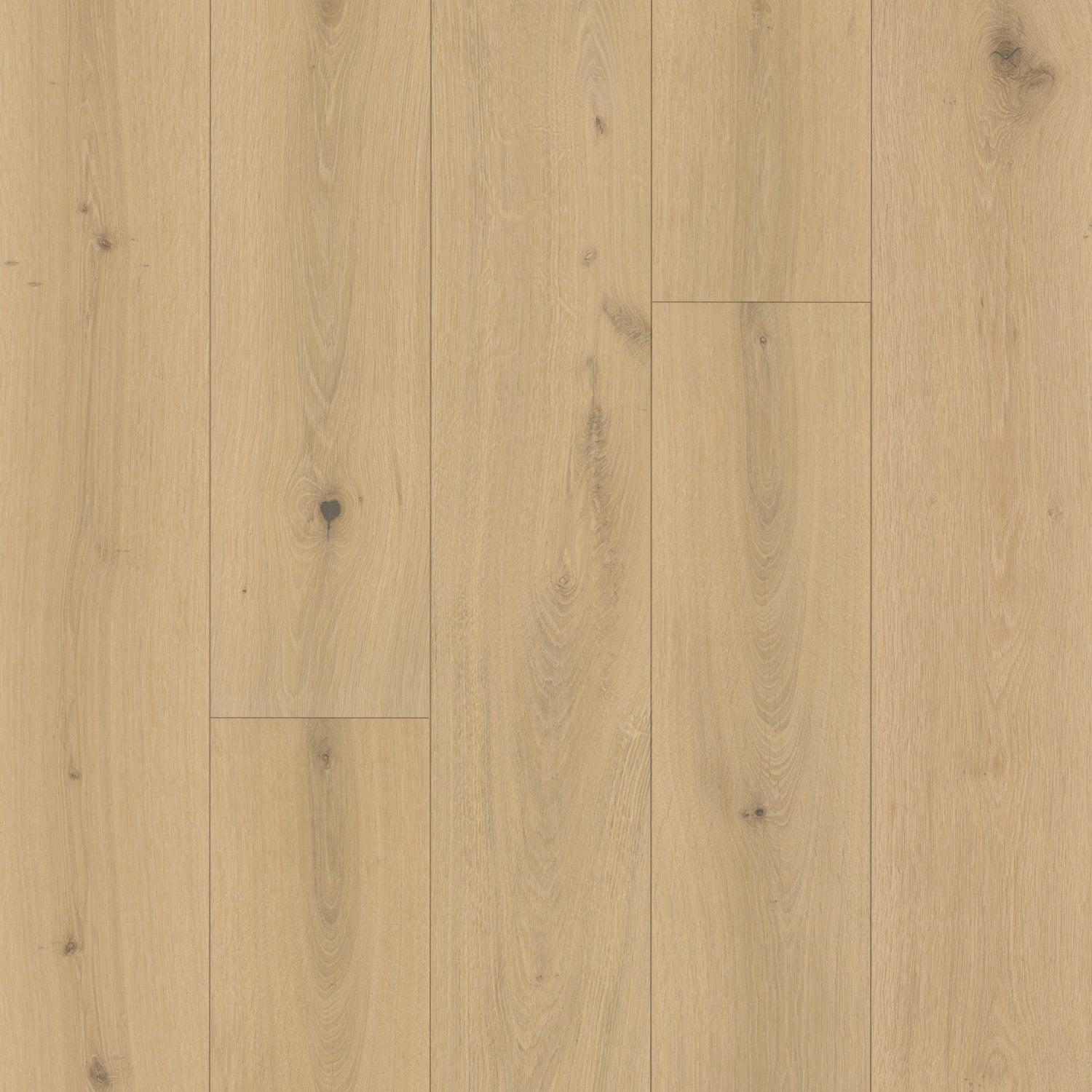 Alba Timber Flooring