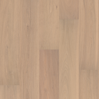 Beach Oak