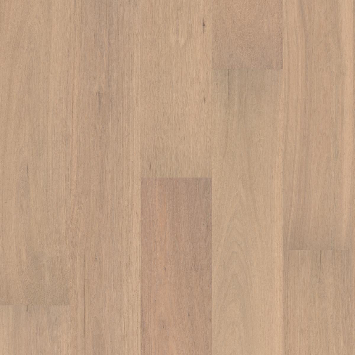 Beach Oak Timber Flooring