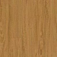 NSW Blackbutt