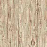 Blackbutt