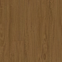 Blackbutt