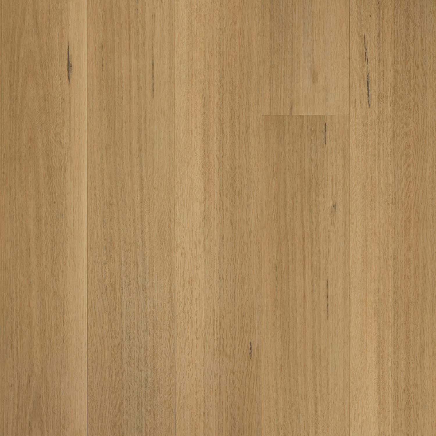 Blackbutt Hybrid Flooring