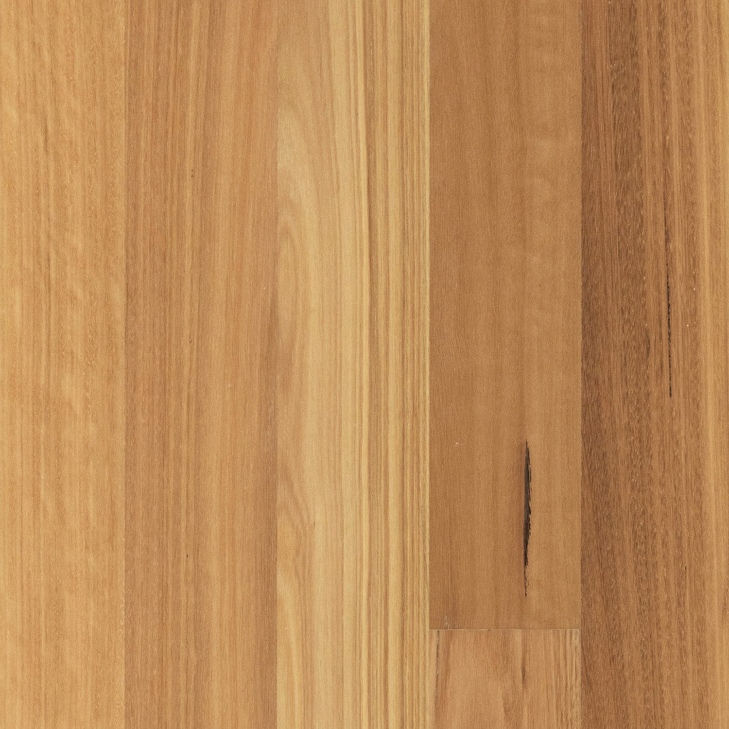 Blackbutt Matte Brushed