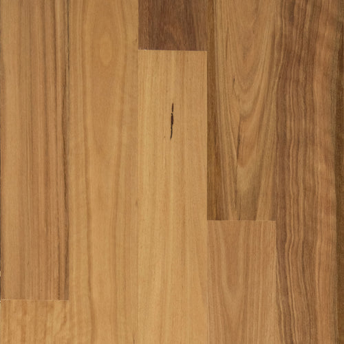 Blackbutt Timber Flooring Satin Finish