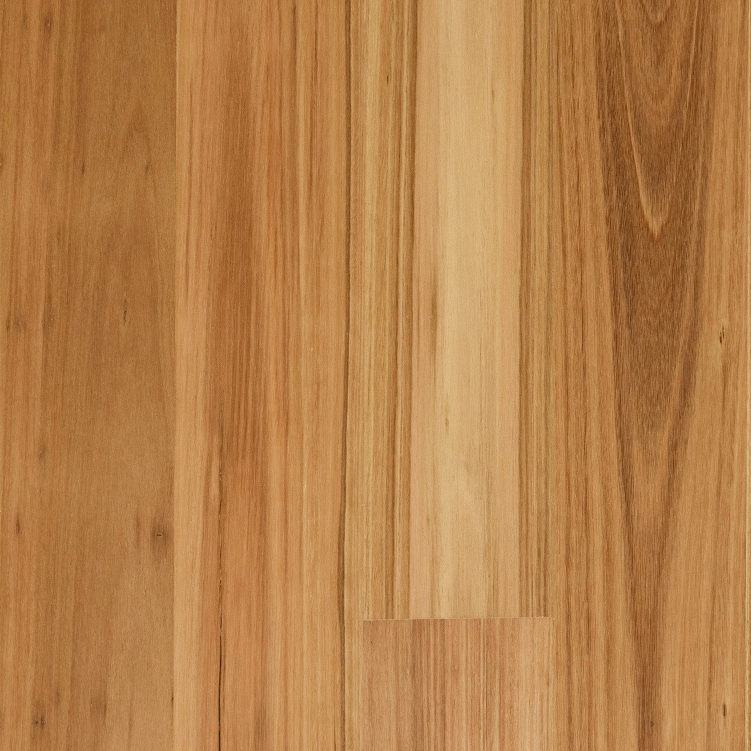 Blackbutt Timber Flooring Wideboard Matte Brushed