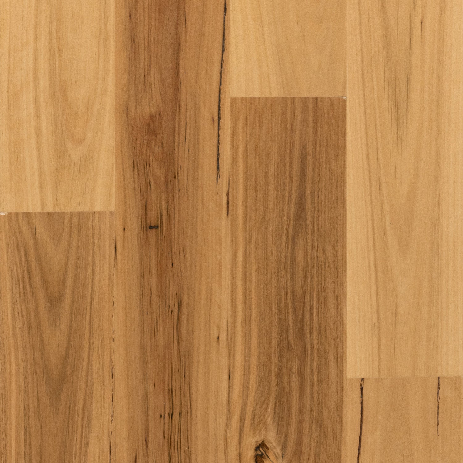 Blackbutt Wideboard Smooth Matte