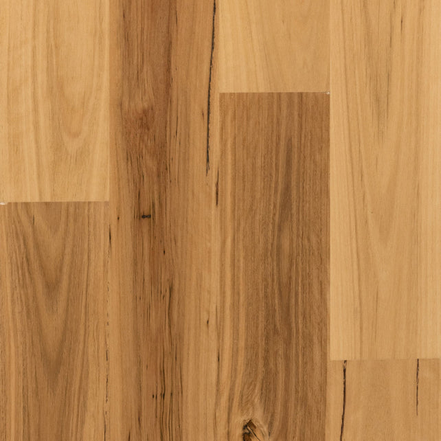 Blackbutt Timber Flooring Wideboard Smooth Matte