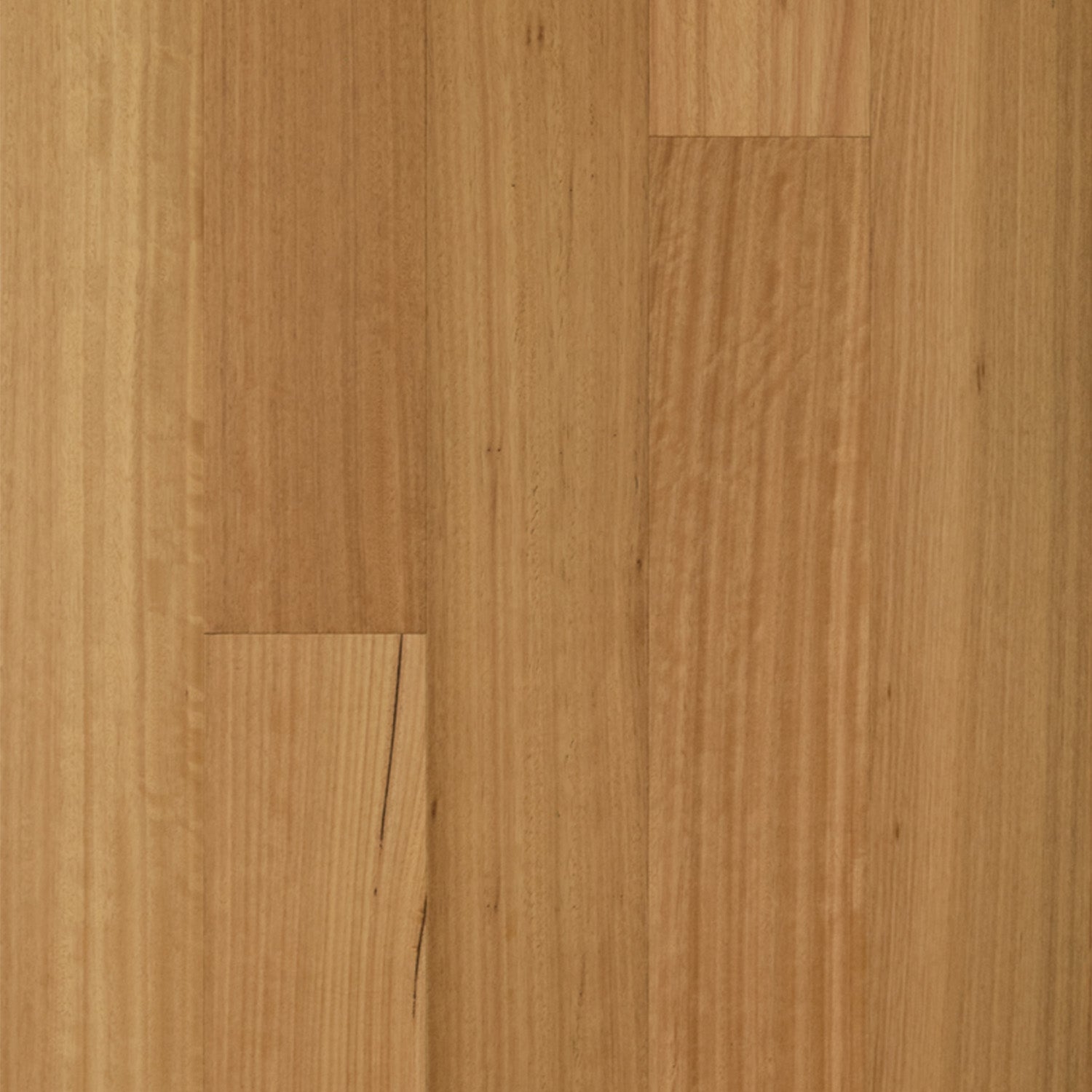 Raw Blackbutt Timber Flooring