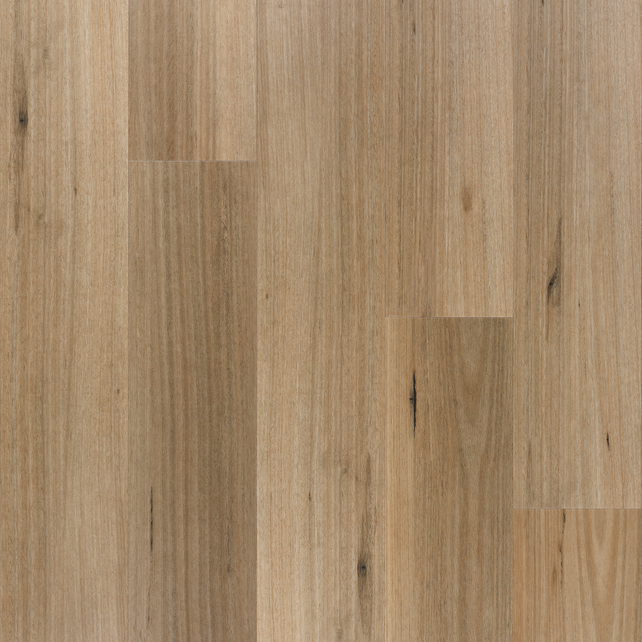 Blackbutt vinyl flooring, smooth matte. Durable luxury vinyl planks with authentic Aussie Blackbutt timber grain texture.