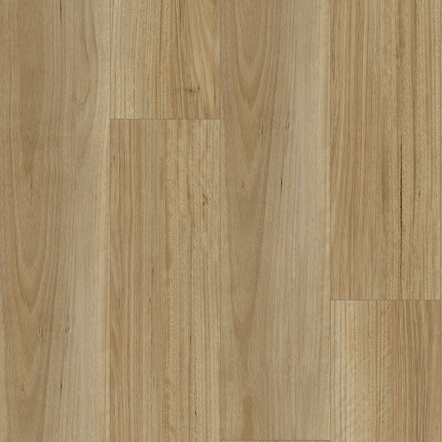 Blackbutt vinyl flooring, smooth matte. Durable waterproof luxury vinyl planks with authentic Aussie hardwood grain.