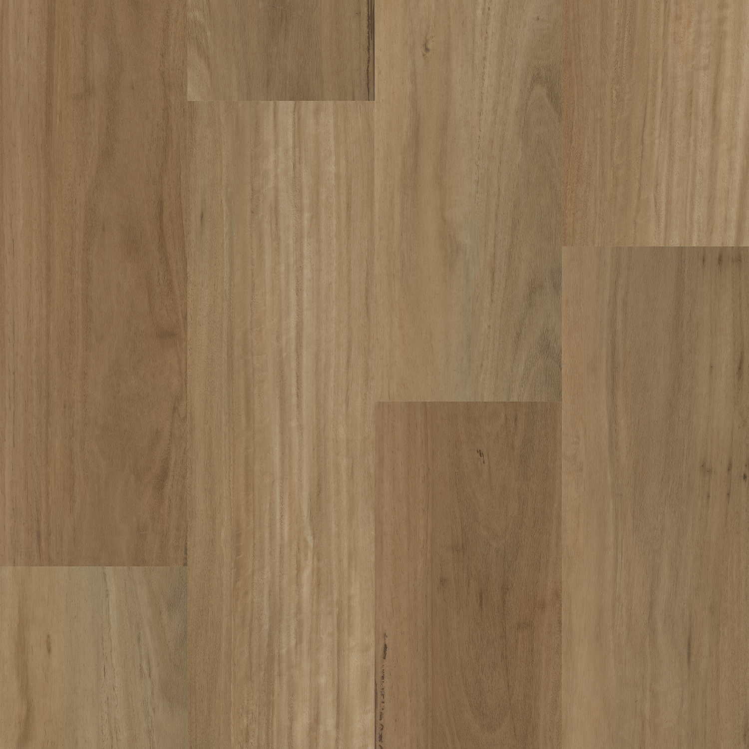Coastal Blackbutt Wideboard Hybrid Flooring
