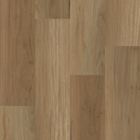 Coastal Blackbutt Wideboard Hybrid
