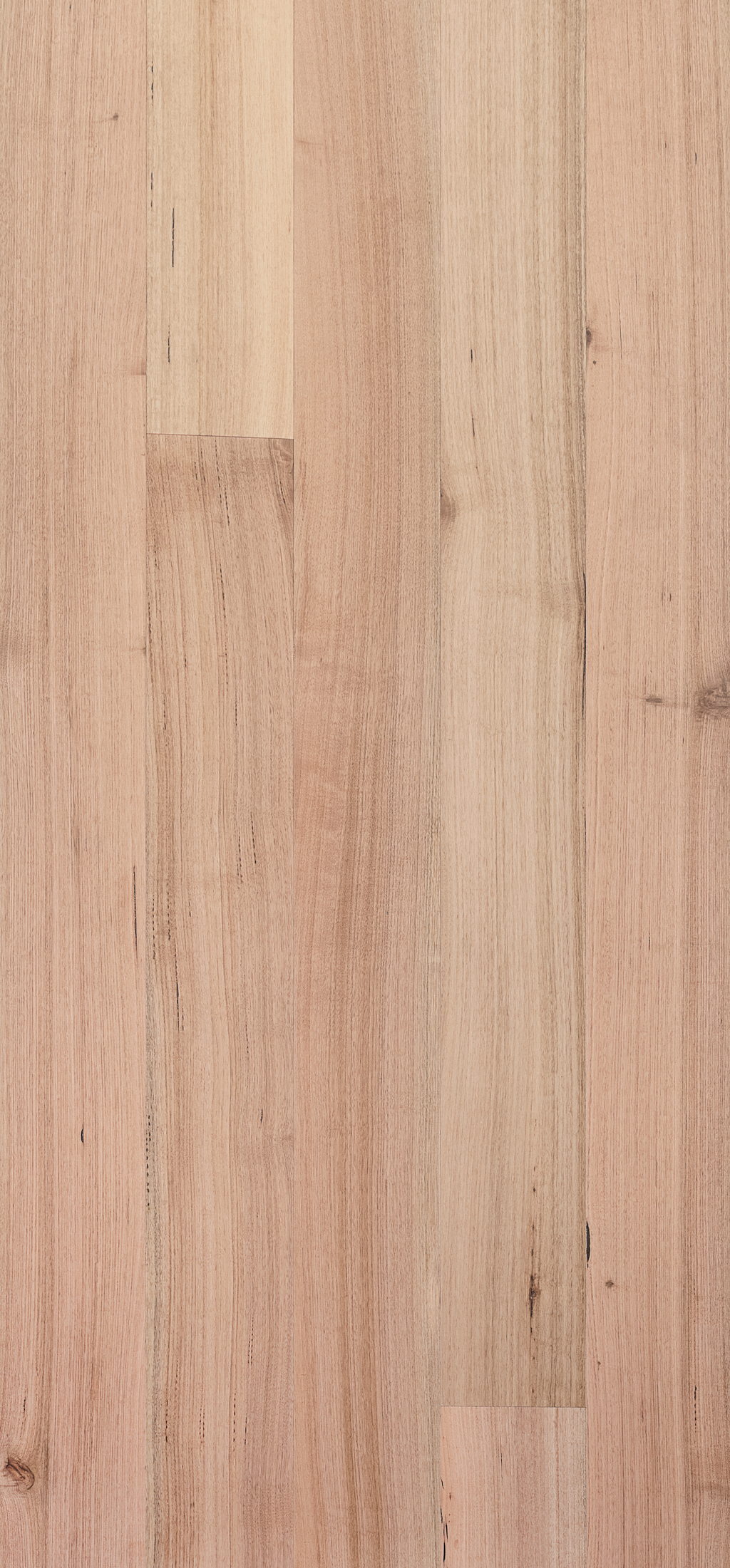 Tasmanian Oak Timber Flooring Smooth Matte