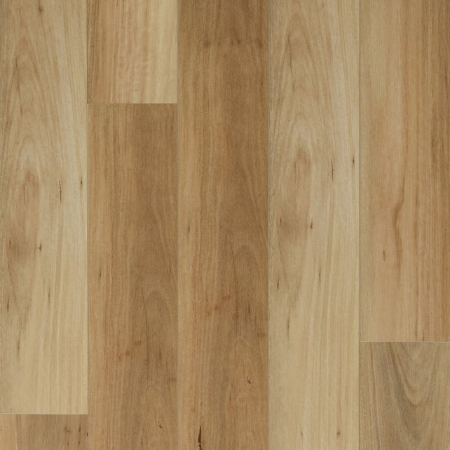 Coastal Blackbutt Hybrid Flooring