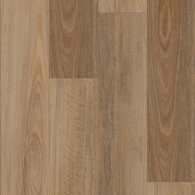 Coastal Spotted Gum vinyl flooring, smooth matte. Durable waterproof luxury vinyl planks with light Aussie hardwood grain.