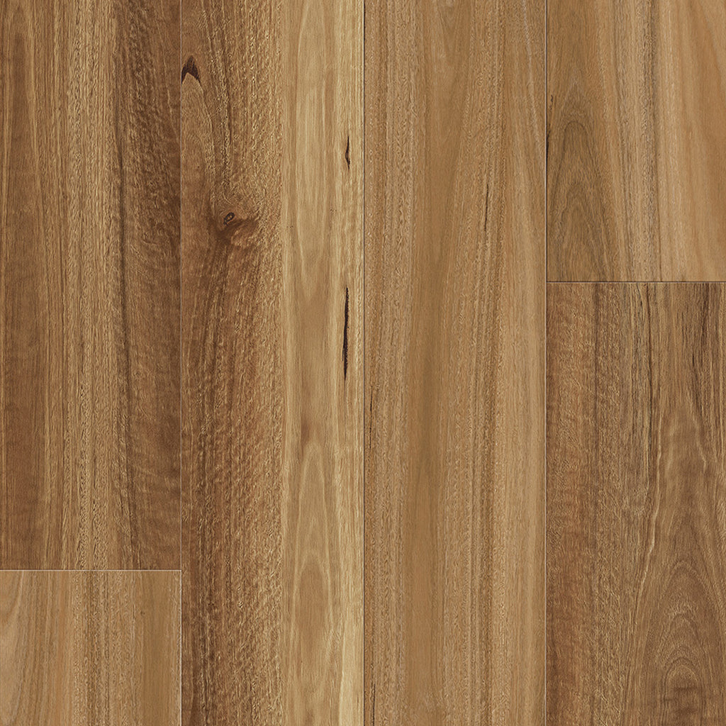 Natural Spotted Gum