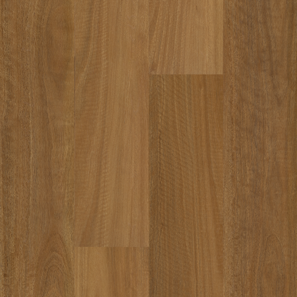 Spotted Gum Laminate