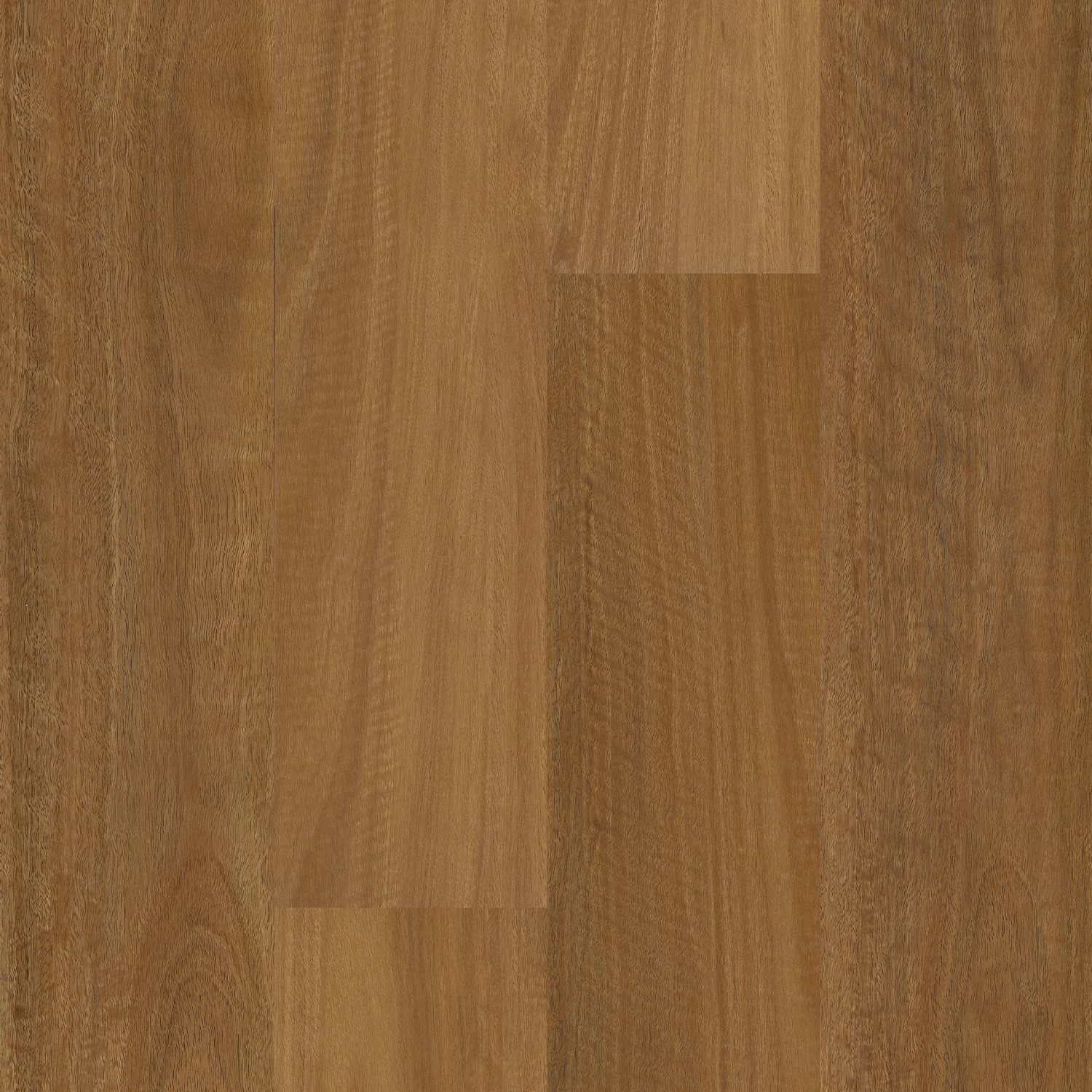 Spotted Gum Laminate Flooring