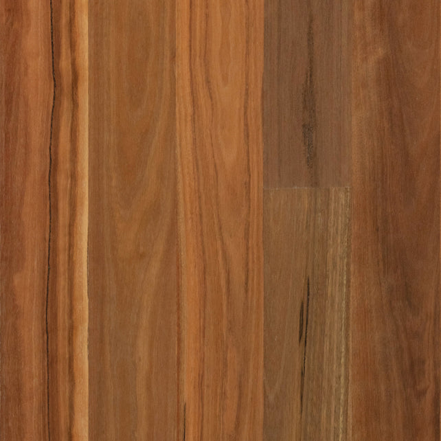 Spotted Gum Timber Flooring Matte Brushed