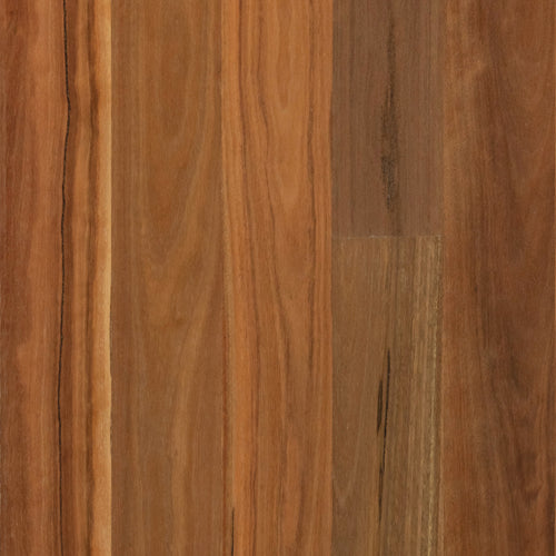 Spotted Gum Timber Flooring Matte Brushed