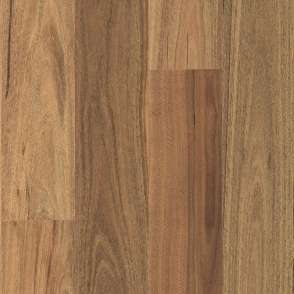 Spotted Gum Wideboard Timber Flooring Smooth Matte