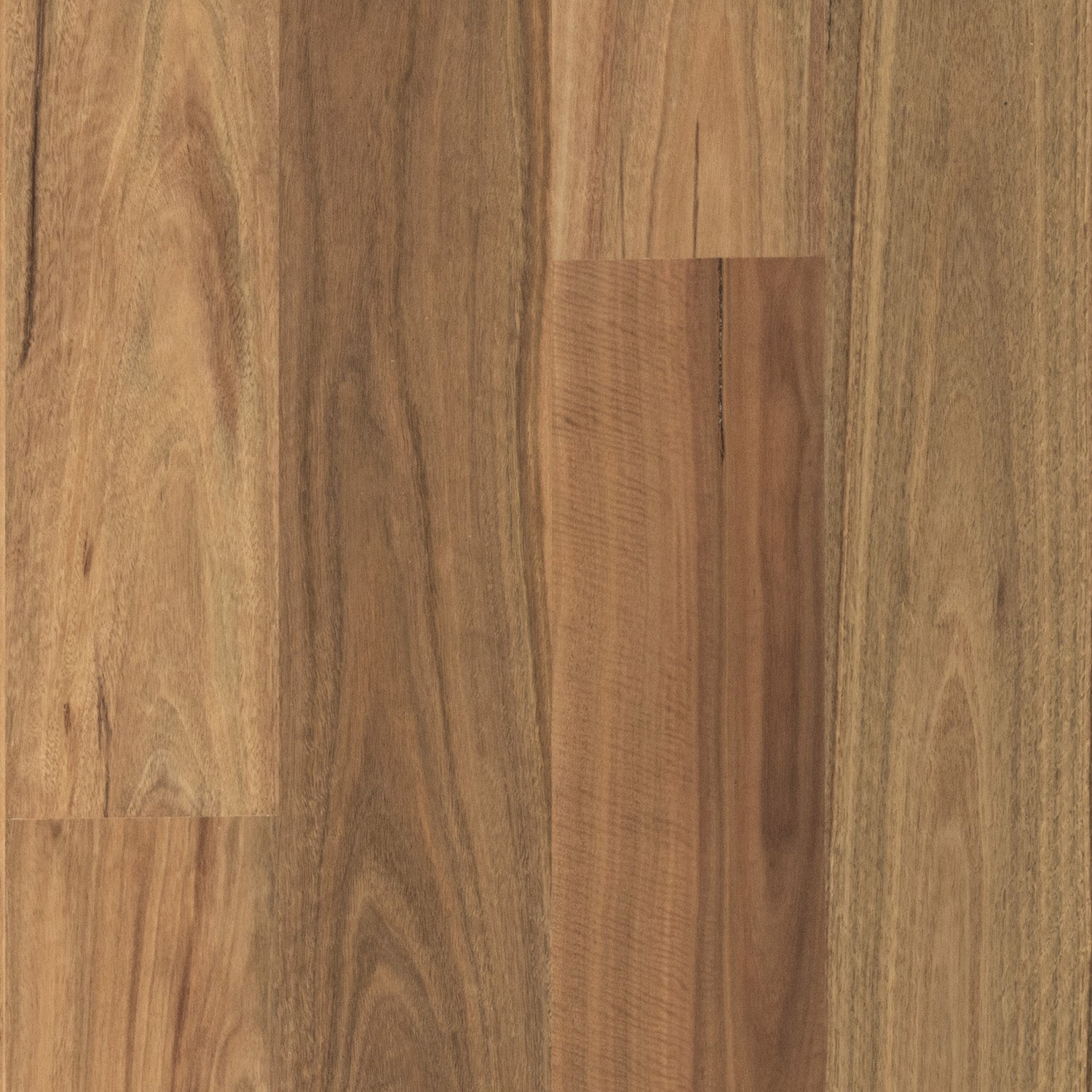 Spotted Gum Wideboard Timber Flooring Smooth Matte