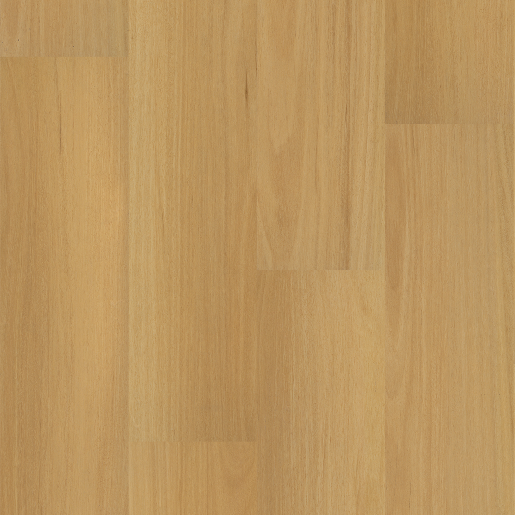 Tasmanian Oak Laminate