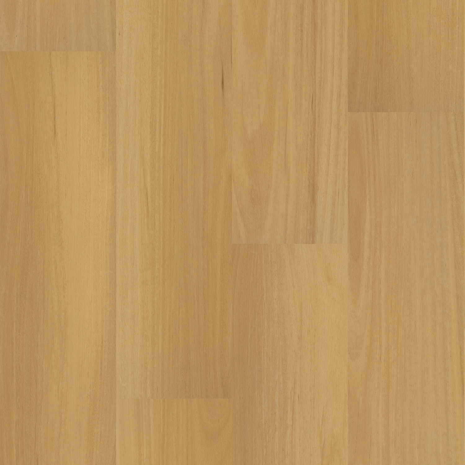 Tasmanian Oak Laminate Flooring