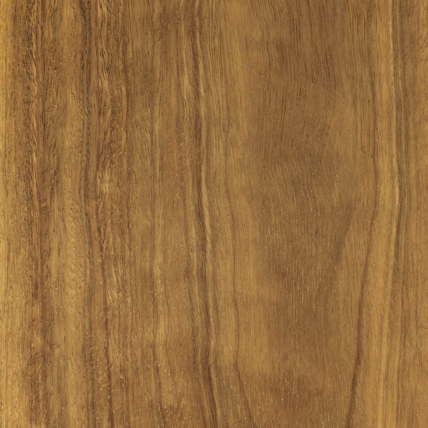 Spotted Gum Wideboard Timber Flooring Matte Brushed