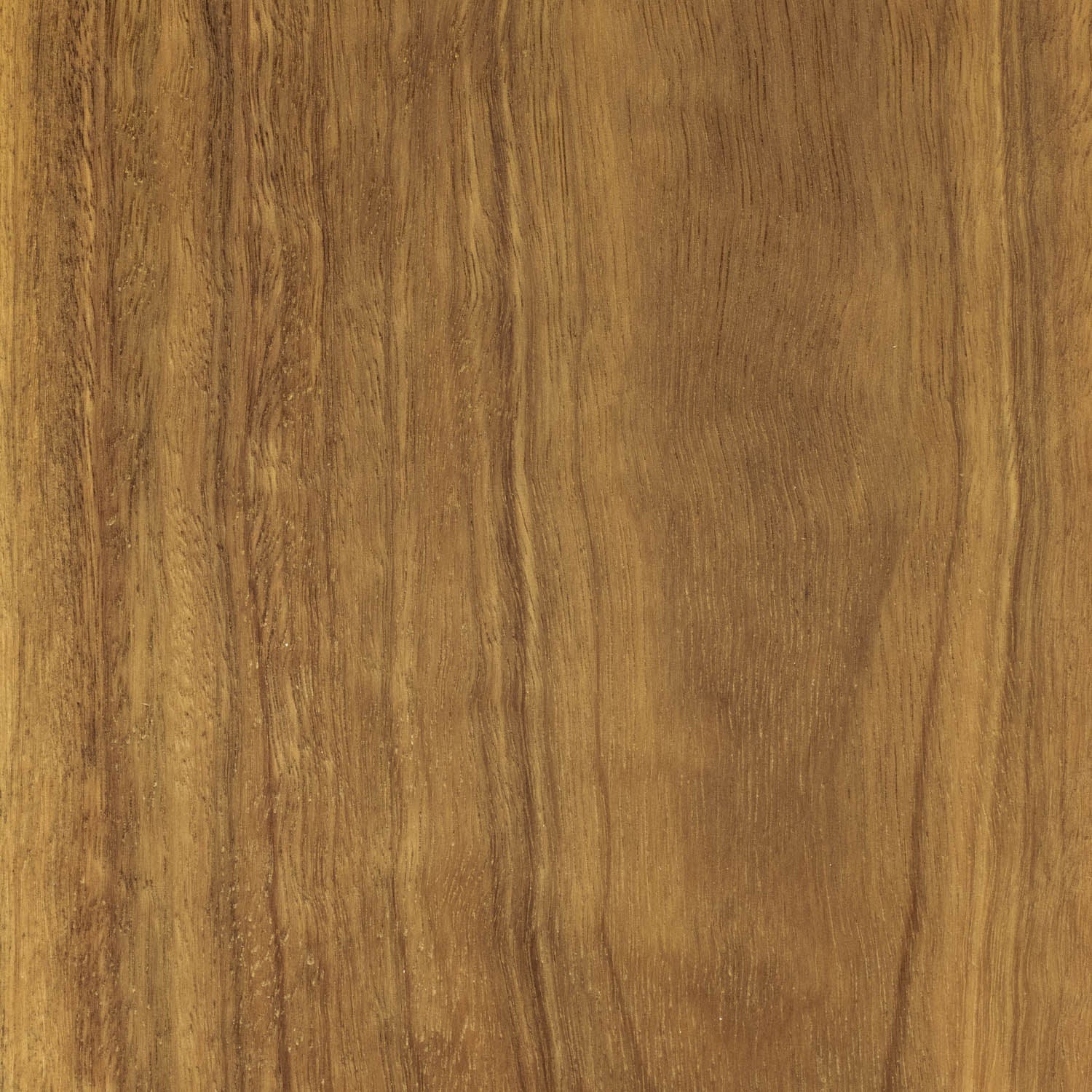 Spotted Gum Timber Flooring Matte Brushed