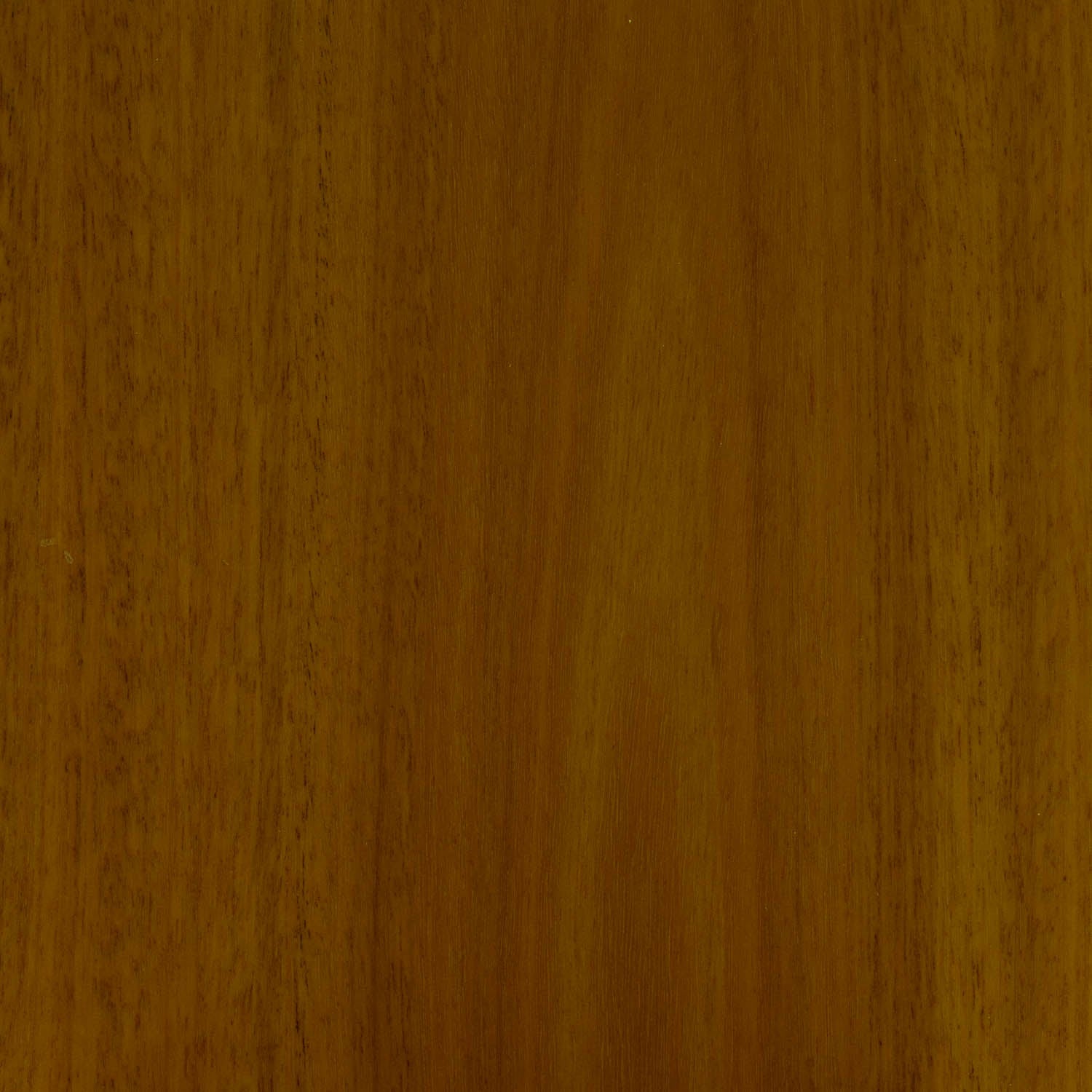 Spotted Gum Wideboard Timber Flooring Smooth Matte